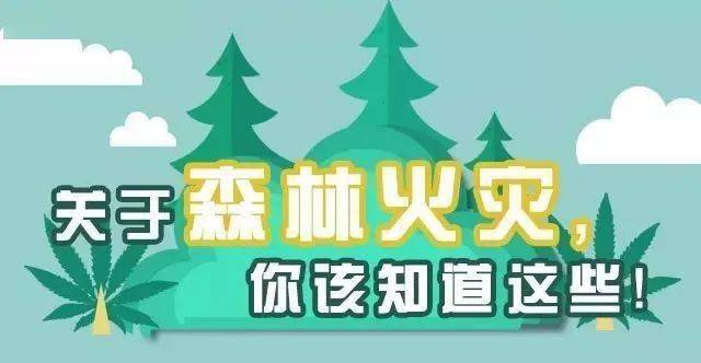 广东省森林火灾案例研究，以澳门视角探讨防火策略与教训