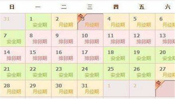 女人每个月的排卵期，深入了解与关注