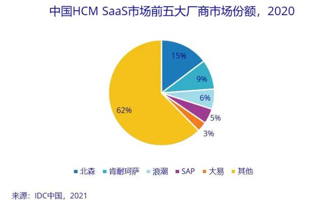 广东金丽嘉股份有限公司，深度解析其发展历程与未来展望