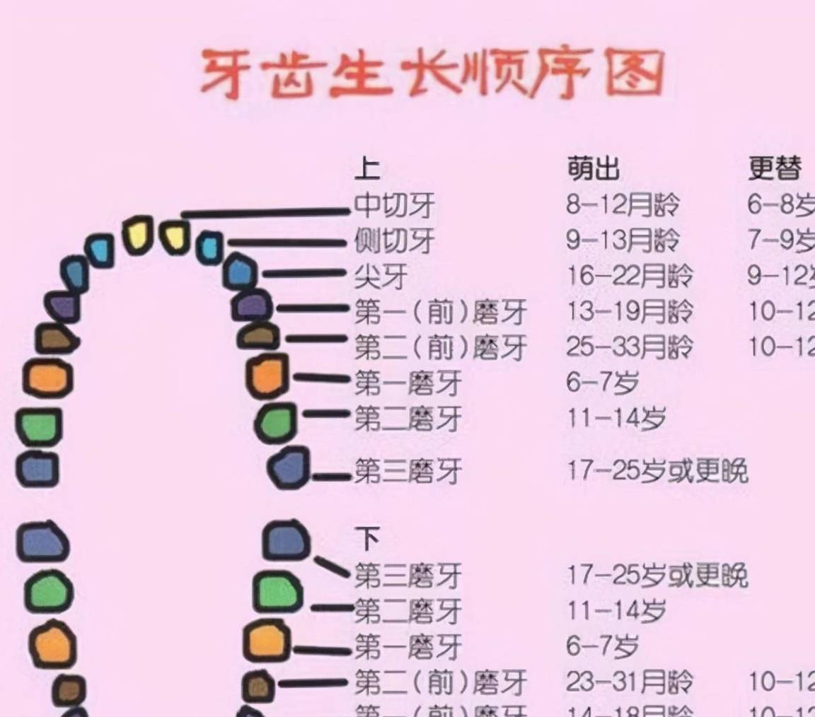 宝宝几个月发牙正常，全面解析婴儿牙齿生长规律