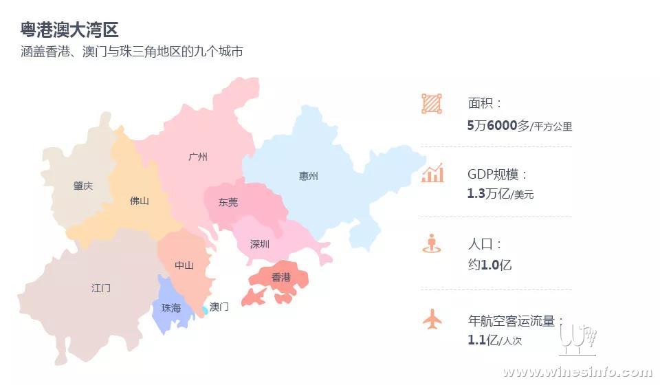 广东佳庆信息有限公司，深度解析其在澳门及粤港澳大湾区的角色与贡献