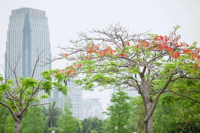 广东源锦建材有限公司，深度解析其在建材行业的地位与贡献