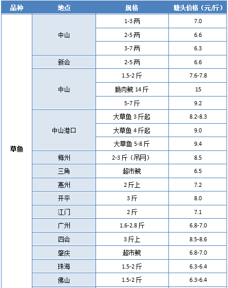 广东省好玩的地方，深度探索与独特体验