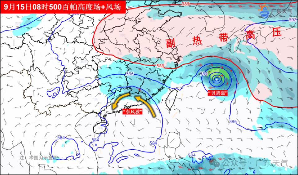 广东德凌有限公司，深度解析其在澳门及泛珠三角区域的影响力与独特地位