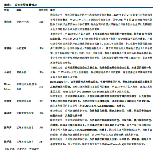 广东友理有限公司深度解析，公司概况、业务实力与发展展望