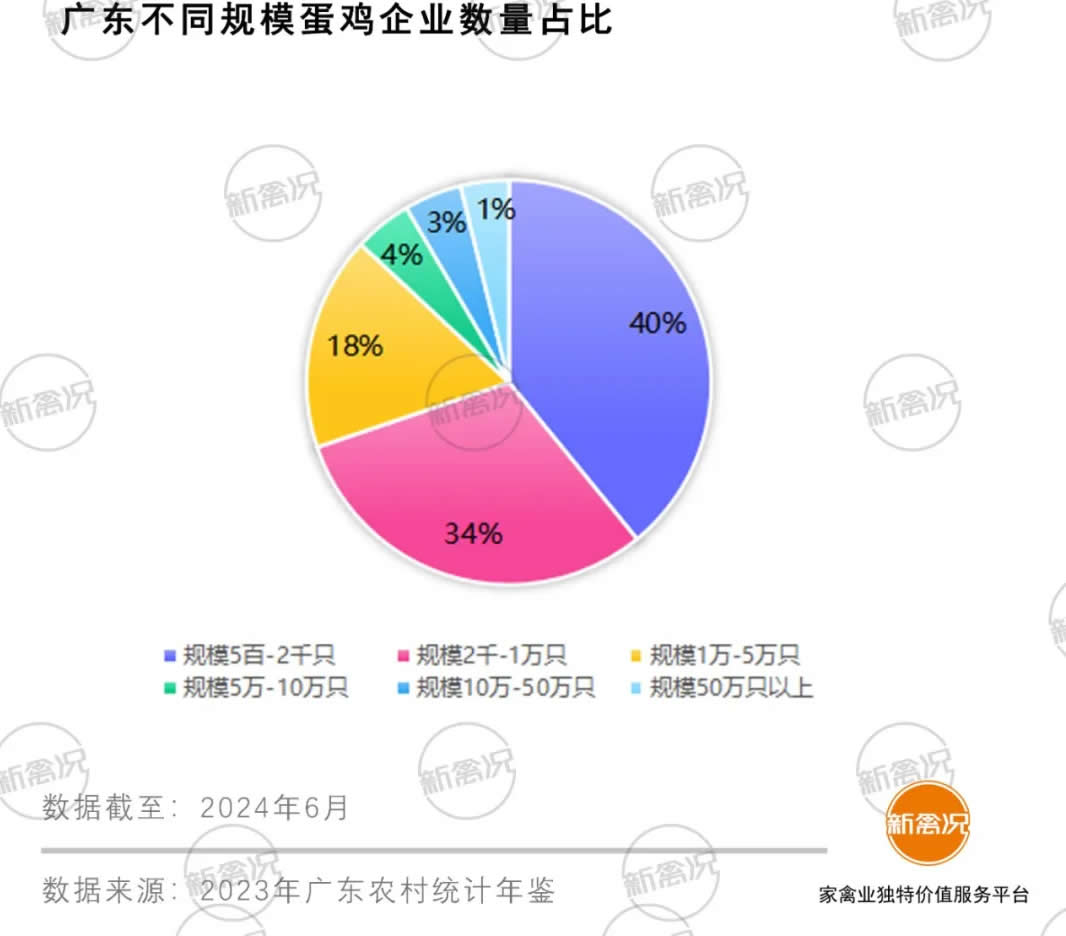 广东省养鸡设备商标研究，专家视角解读行业现状与发展趋势