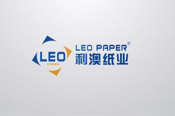 广东利源纸业有限公司，深度解析其在澳门及泛珠三角区域的影响力