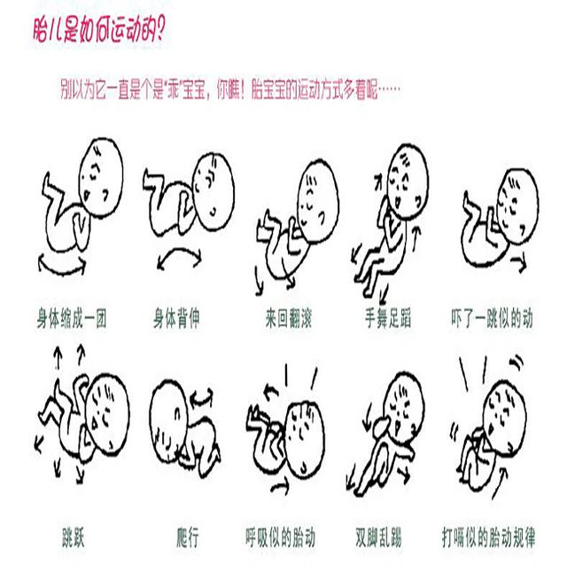 关于妊娠五个月未出现胎动的知识解析