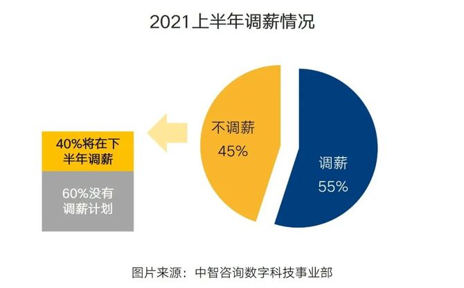 江苏智锐科技，招聘信息深度解析与专家洞察