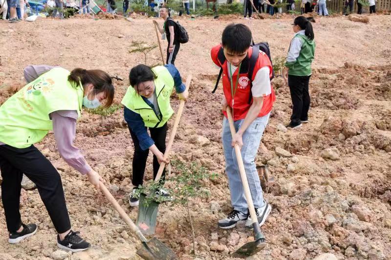 广东省监理公司排名及其行业影响力分析